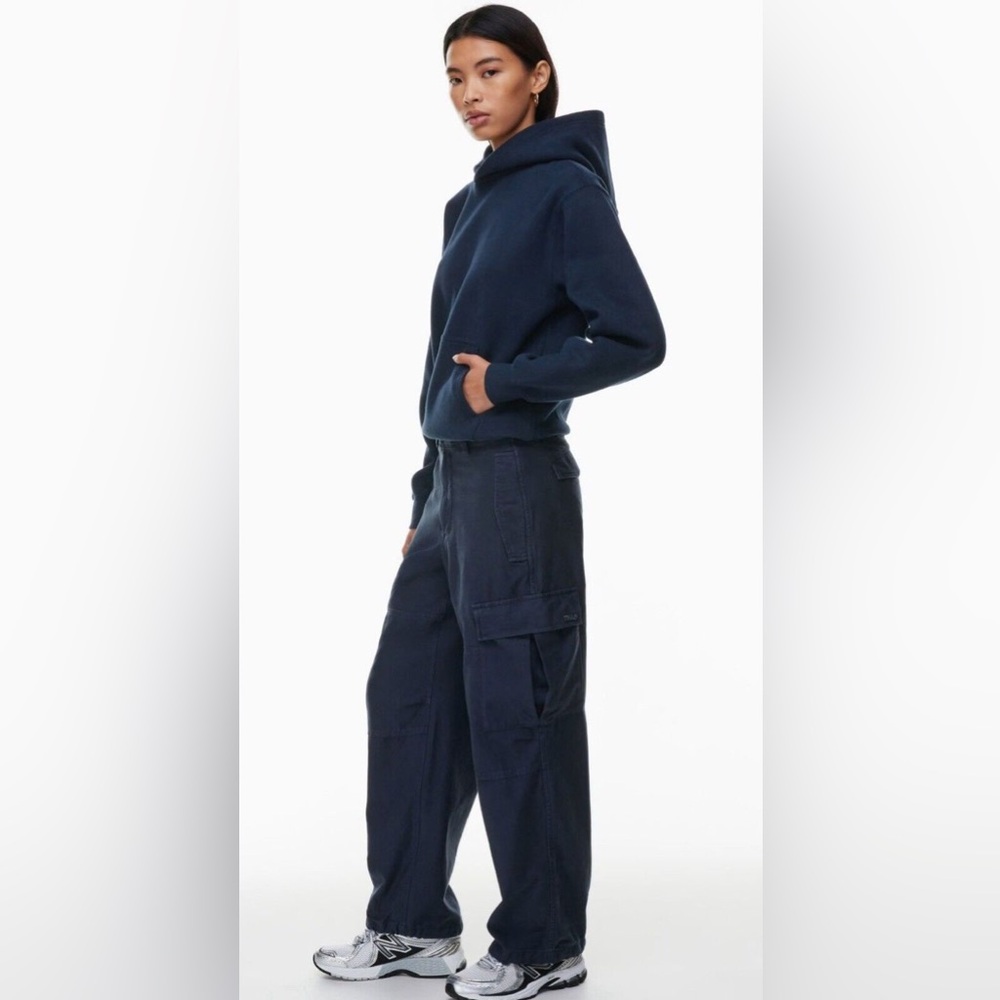 Aritzia Tna Cargo Pants